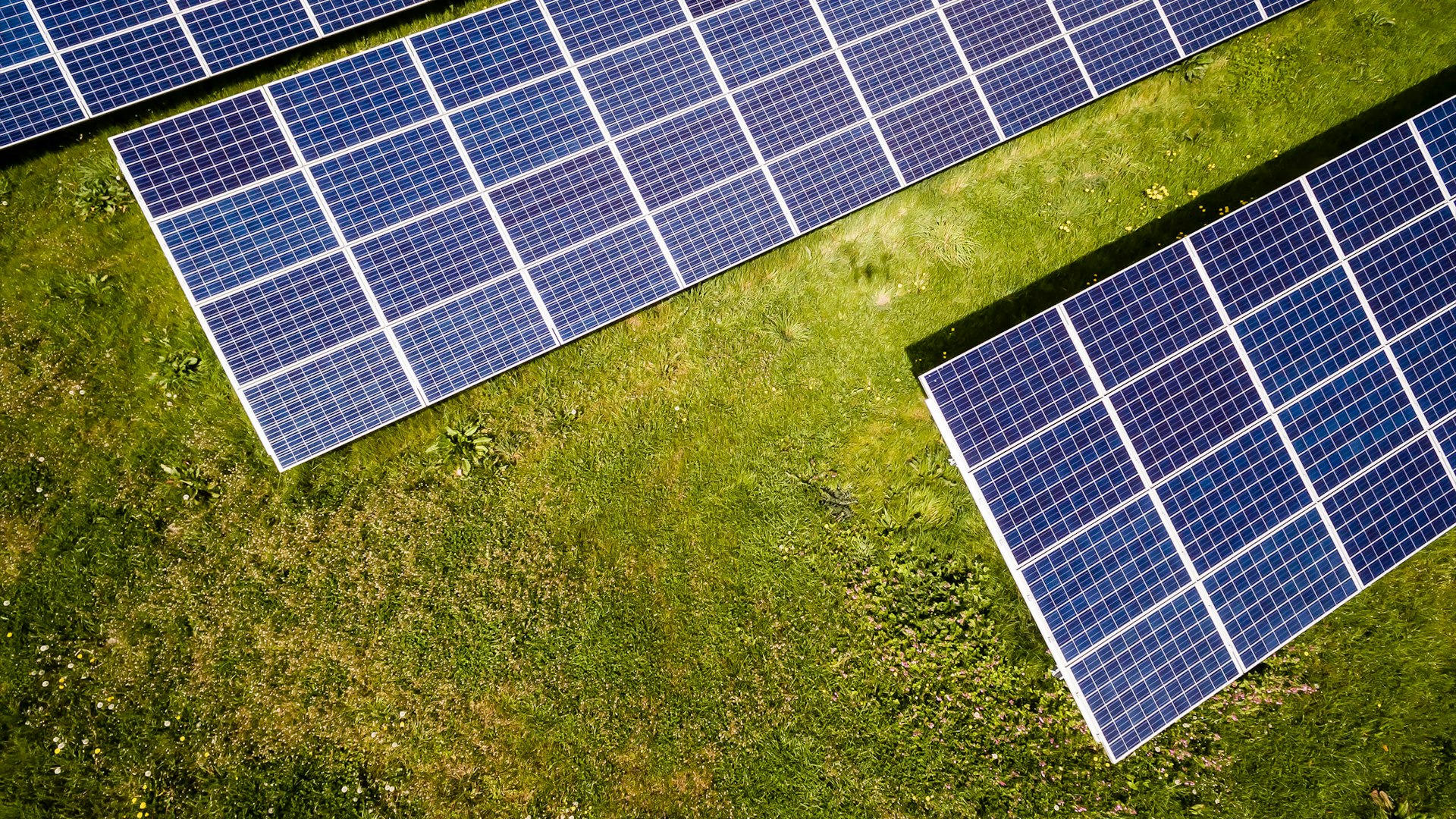 Ingenieur inspectant une installation de panneaux solaires
